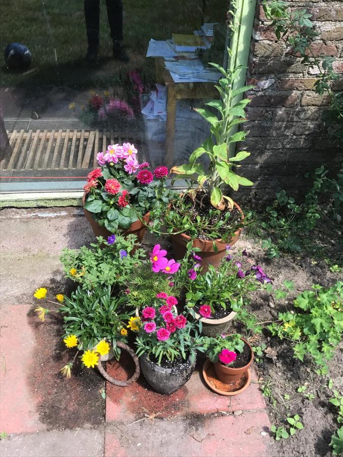 B&B Van Beijden Overasselt 외부 사진